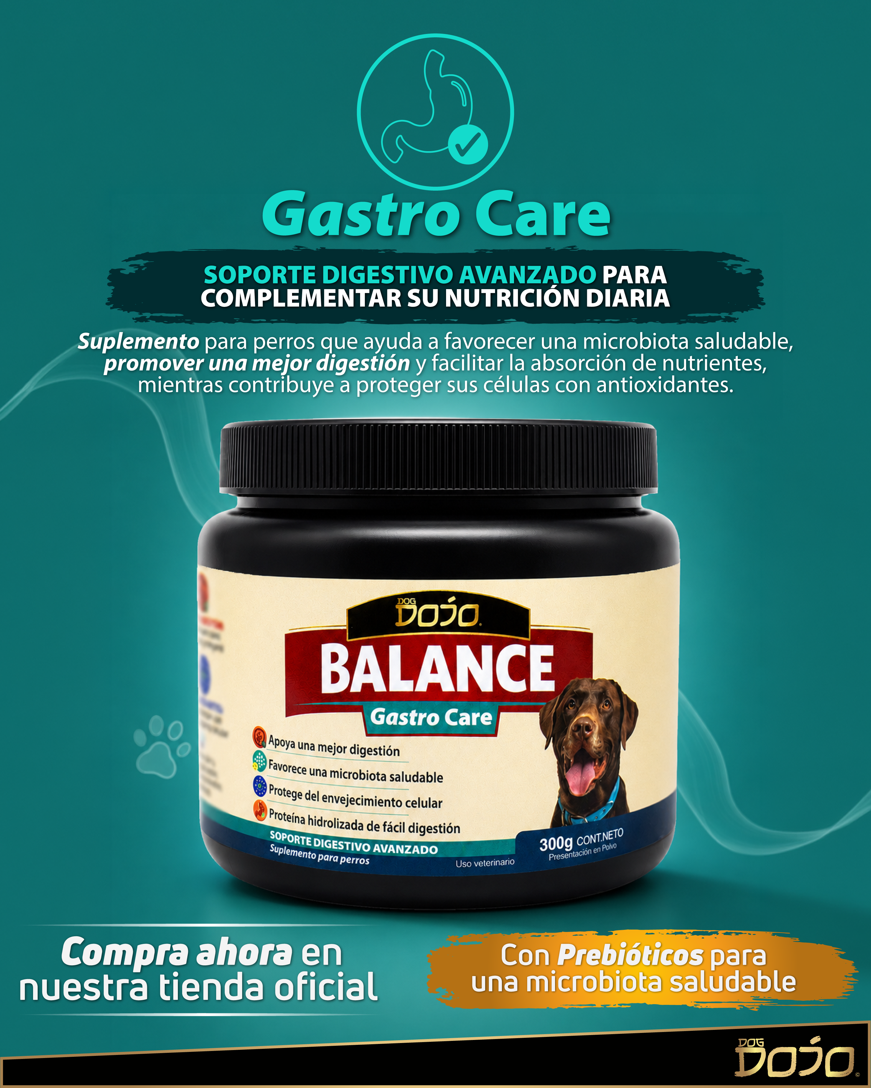 Dojo Balance Gastro Care Suplemento Digestivo Avanzado 300g