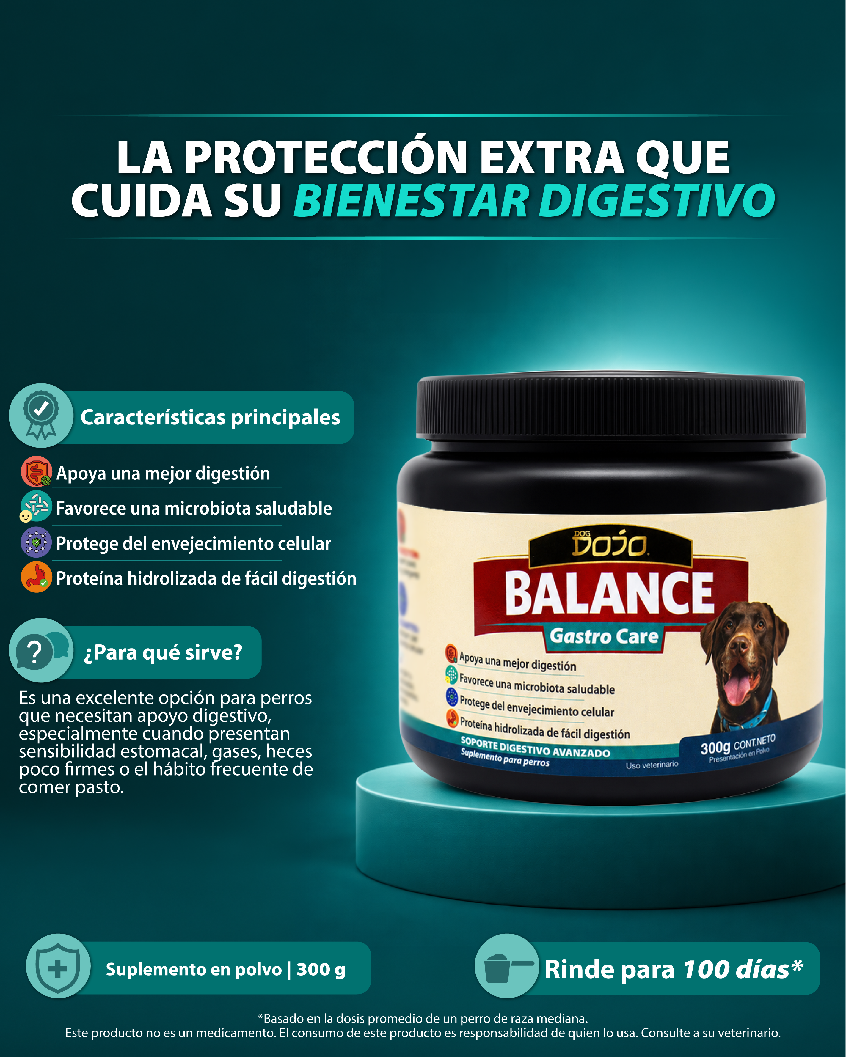 Dojo Balance Gastro Care Suplemento Digestivo Avanzado 300g