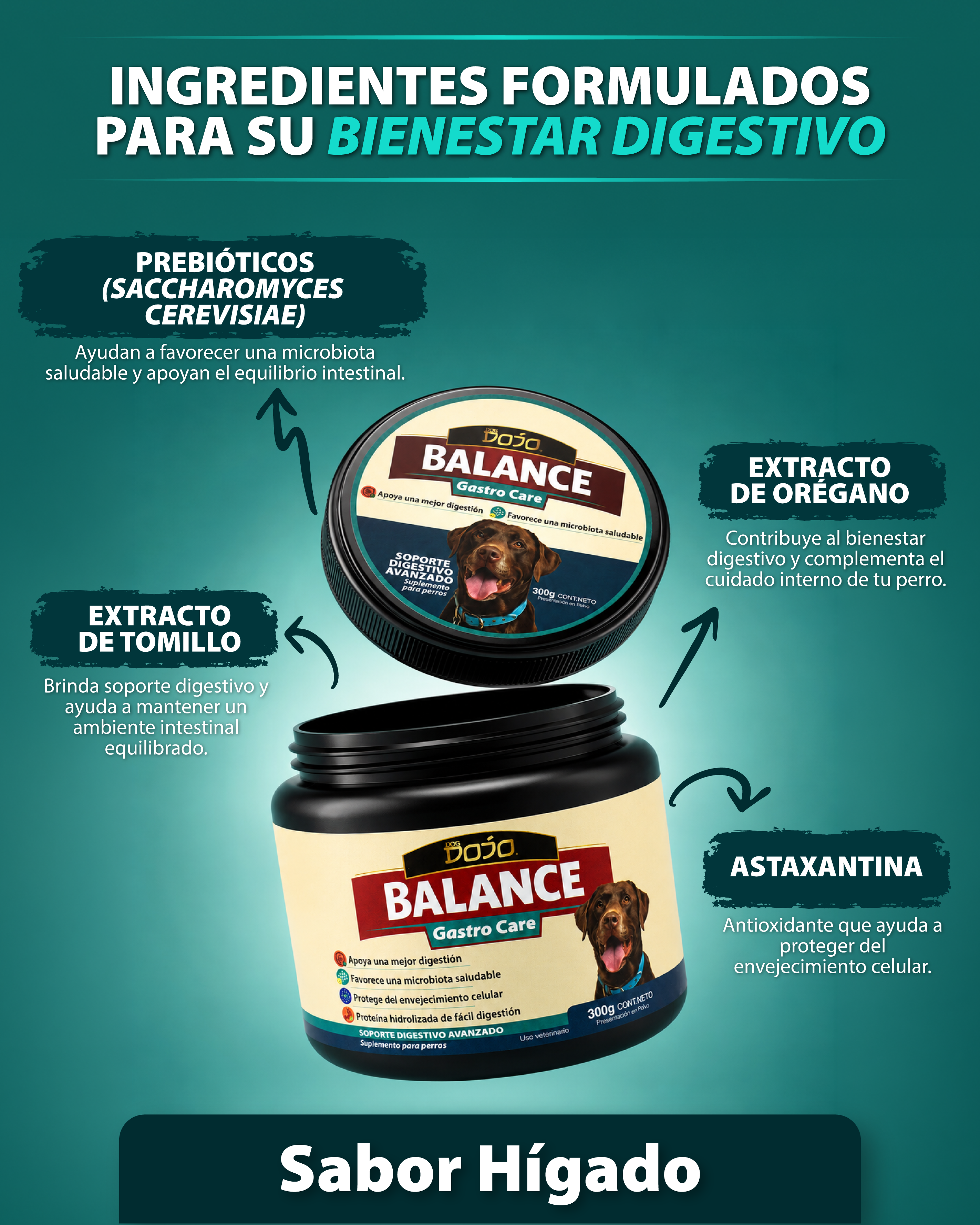 Dojo Balance Gastro Care Suplemento Digestivo Avanzado 300g