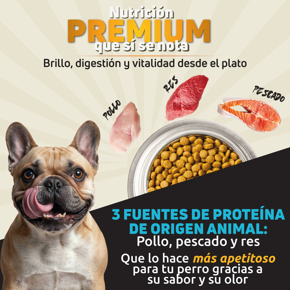 Alimento PREMIUM 25kg Razas Grandes + Dojo Balance Gastro Care — Suplemento Digestivo Avanzado 300g