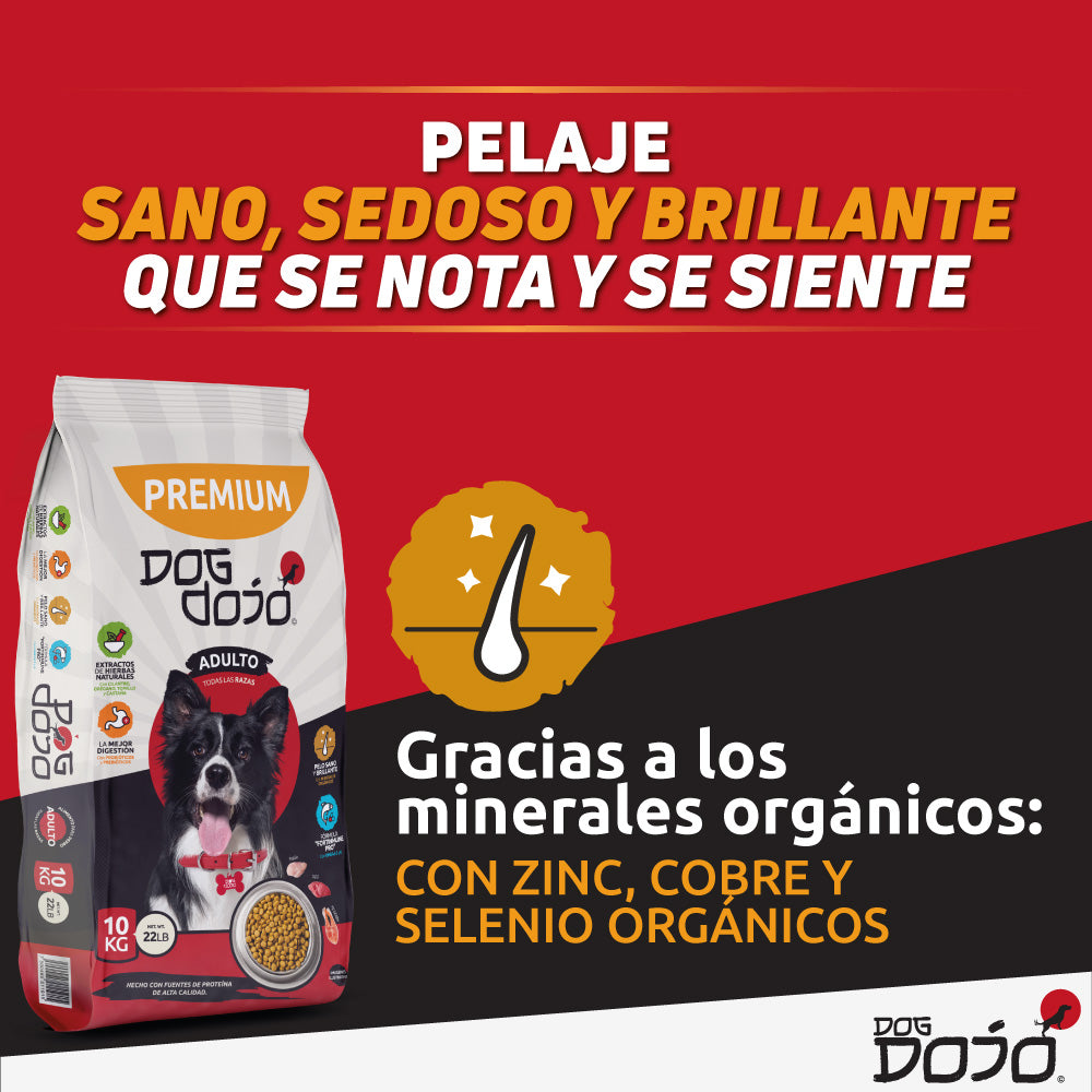 Alimento PREMIUM 10kg Razas Medianas