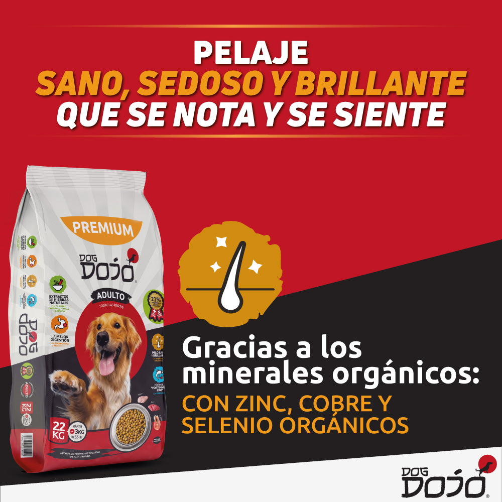 Alimento PREMIUM 25kg Razas Grandes + Dojo Balance Gastro Care — Suplemento Digestivo Avanzado 300g