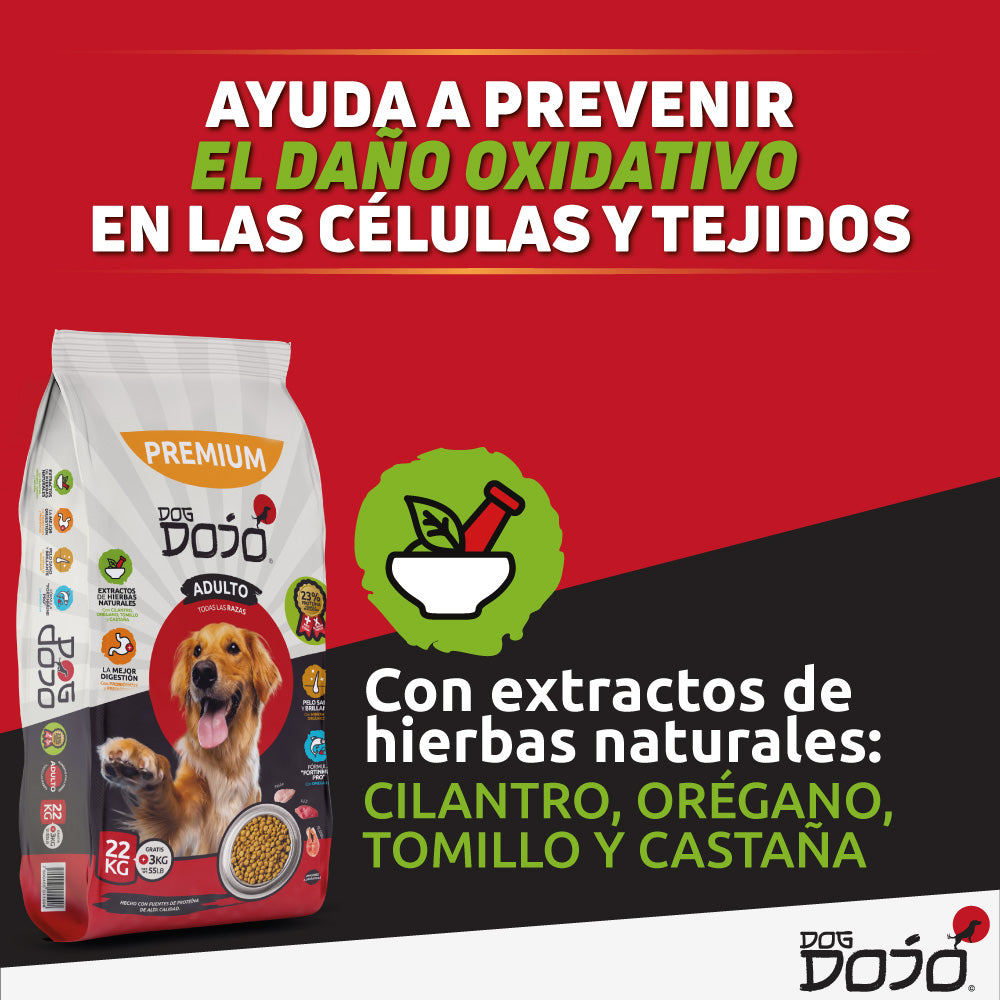 Alimento PREMIUM 25kg Razas Grandes + Dojo Balance Gastro Care — Suplemento Digestivo Avanzado 300g