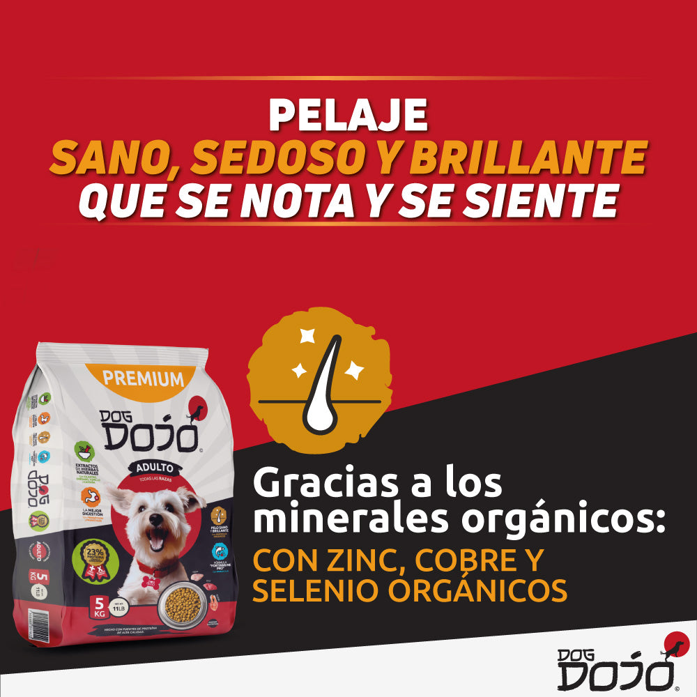 Alimento PREMIUM 5kg Razas Pequeñas
