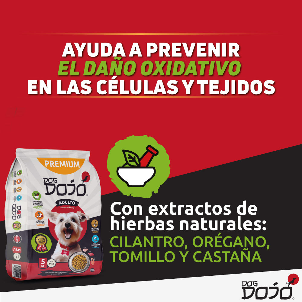 Alimento PREMIUM 5kg Razas Pequeñas