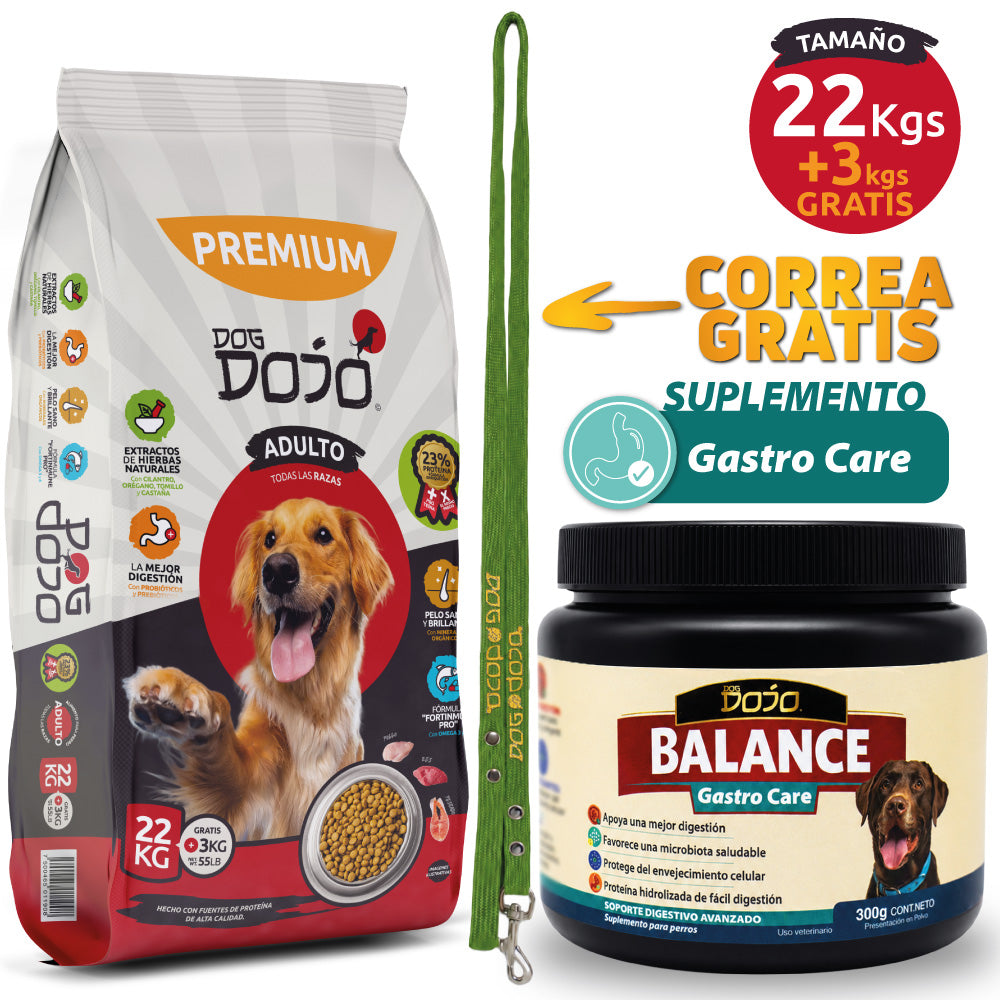 Alimento PREMIUM 25kg Razas Grandes + Dojo Balance Gastro Care — Suplemento Digestivo Avanzado 300g