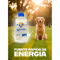 Electrolitos Sabor Lácteo