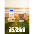 Electrolitos Sabor Cebada