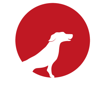 Dog Dojo logo