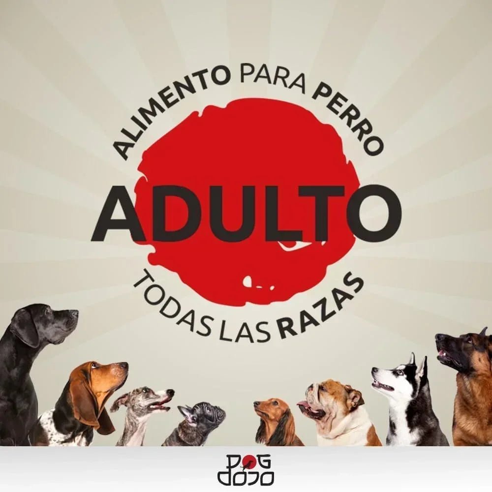 Alimento PREMIUM 5kg Razas Pequeñas - Dog Dojo