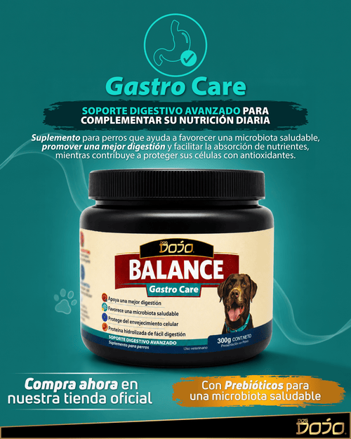 Dojo Balance Gastro Care — Suplemento Digestivo Avanzado 300g - Dog Dojo