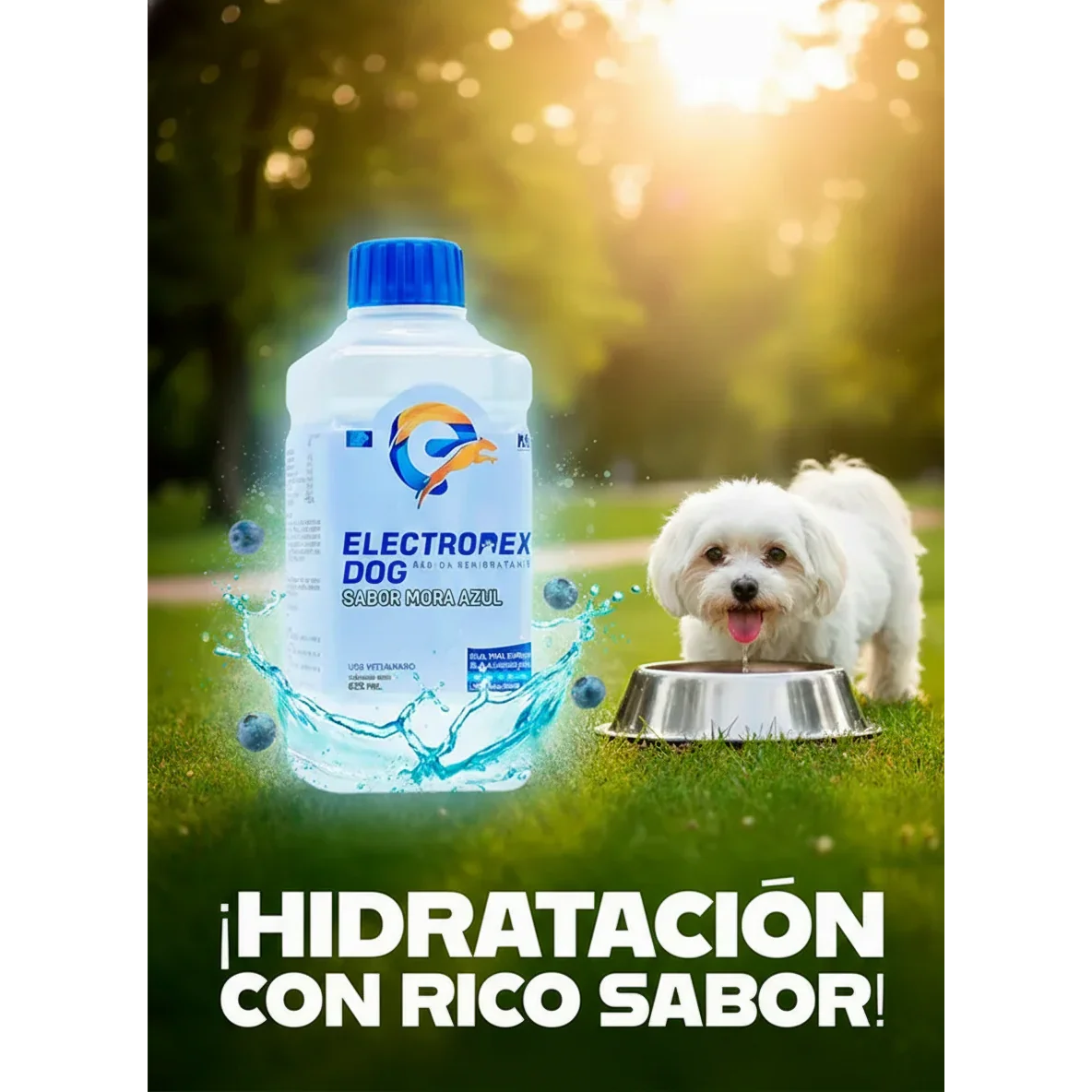 Electrolitos Sabor Mora - Dog Dojo